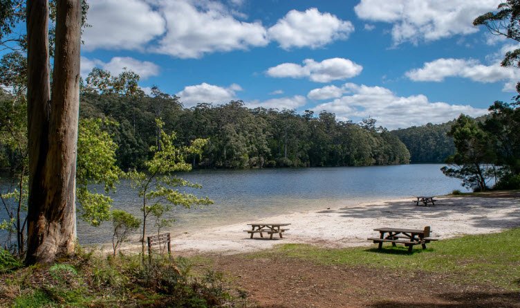 Big Brook Arboretum, Australia
